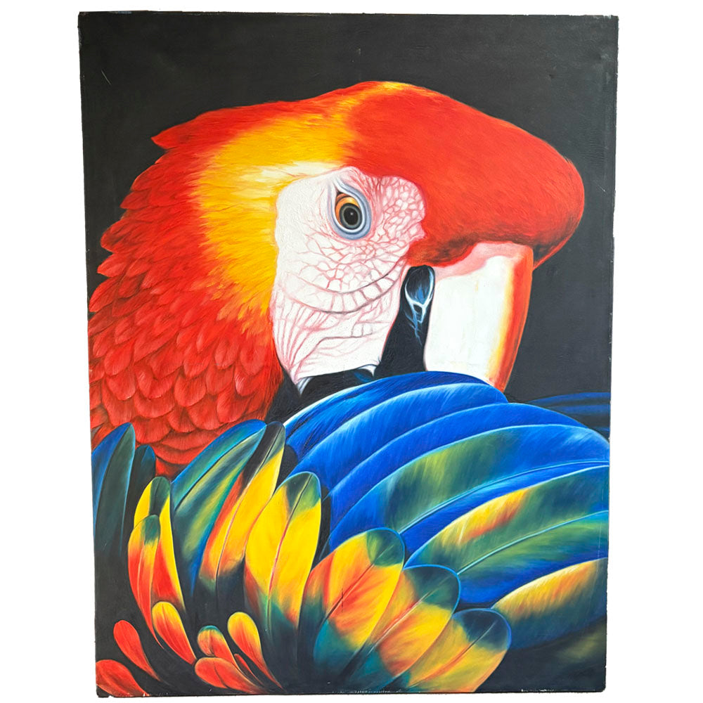 Cuadro Guacamaya - Color Vivo